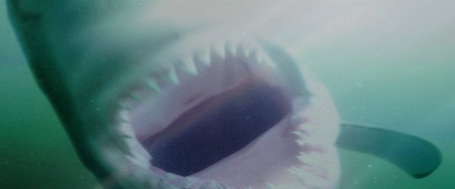 Shark Waters - Film