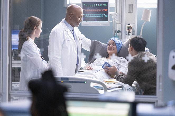 Grey's Anatomy - Sisters Are Doin' It for Themselves - Van film - Adelaide Kane, James Pickens Jr.
