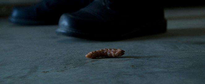 Crawlers - Angriff der Killerwürmer - Filmfotos