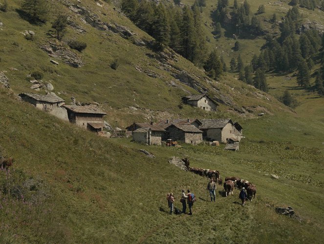Las ocho montañas - De la película