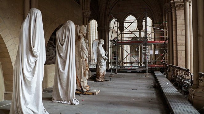 Rebuilding Notre-Dame - La Quête de la hauteur - Photos