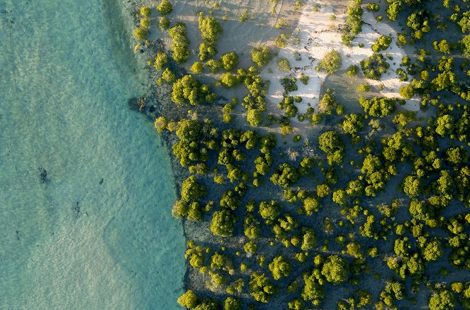 Africa from Above - Mozambique - Do filme