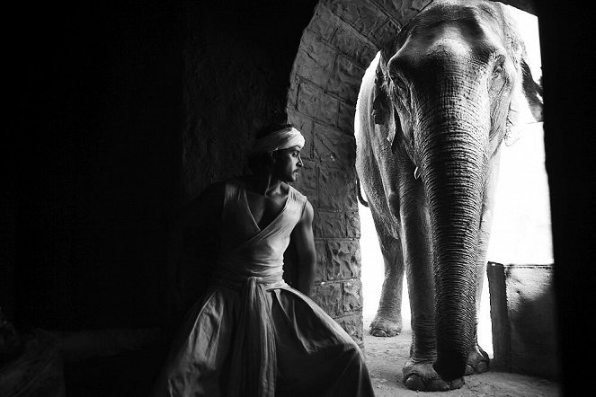 Dzsódhá Akbar - Filmfotók - Hrithik Roshan