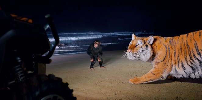 Jane - Panthera Tigris - De la película