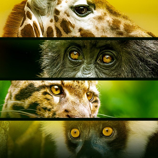 Endangered - Vom Aussterben bedroht - Werbefoto