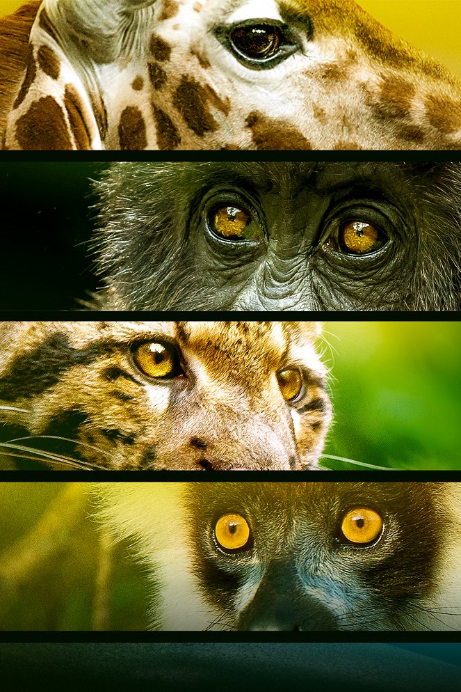 Endangered - Vom Aussterben bedroht - Werbefoto