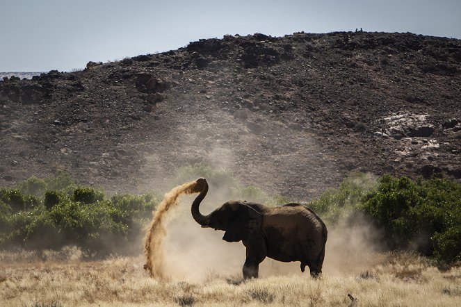 Secrets of the Elephants - Kuvat elokuvasta