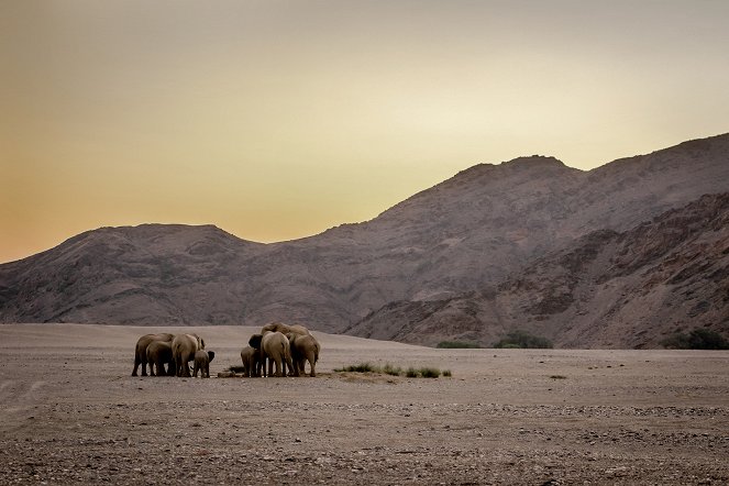 Die geheimnisvolle Welt der Elefanten - Filmfotos