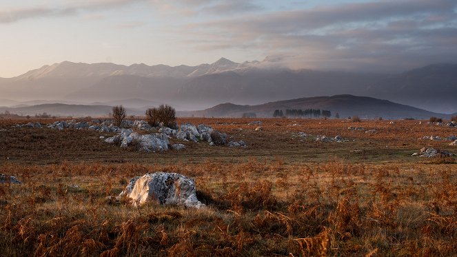 Universum: König der Wildnis - Das Tauros Projekt - Kuvat elokuvasta