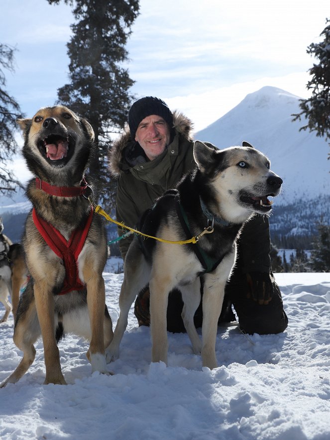 Snow Dogs: Into the Wild - Werbefoto