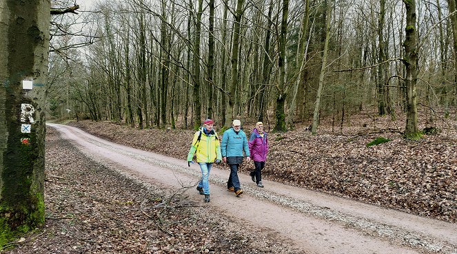 Leidenschaft Rennsteiglauf - Geschichte einer Legende - Photos