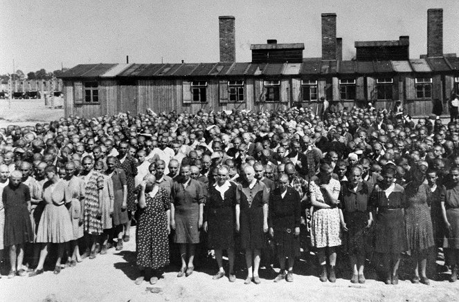 Working for the Enemy – Forced labour in the Third Reich - Verlorene Jugend - Photos