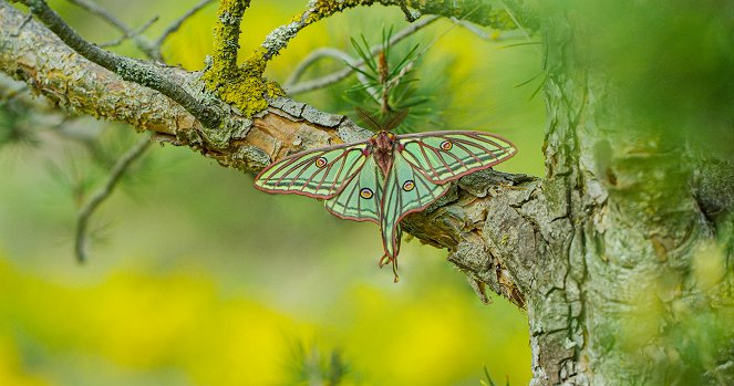 Natural Treasures - Photos