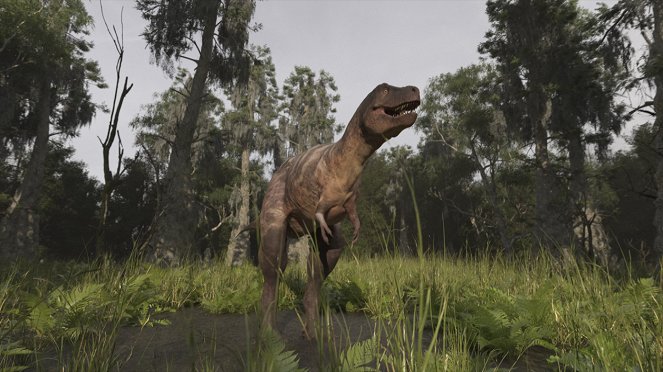 Rückkehr der Urzeit-Giganten - T-Rex - Filmfotos