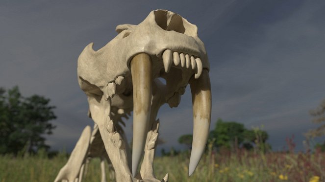 Rückkehr der Urzeit-Giganten - Der Knochenbrecher-Wal - Filmfotos