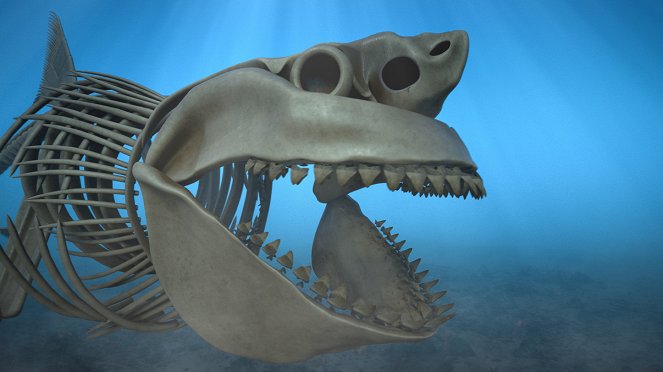 Rückkehr der Urzeit-Giganten - Der Mega-Hai - Filmfotos