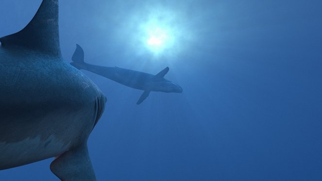 Lost Beasts: Unearthed - Secrets of the Killer Mega Shark - Film
