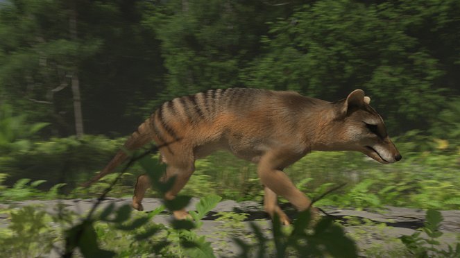 Lost Beasts: Unearthed - Secrets of the Tasmanian Tiger - Van film