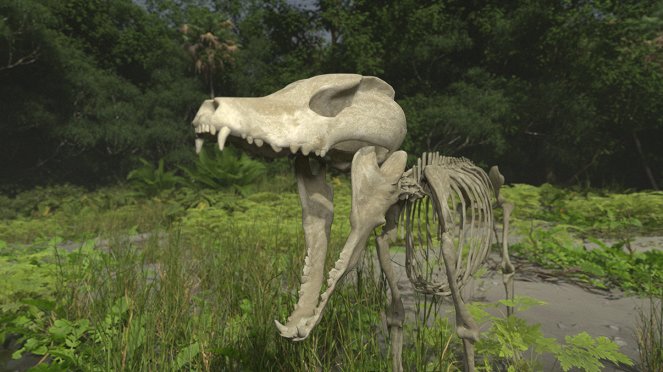 Rückkehr der Urzeit-Giganten - Das Mammut - Filmfotos