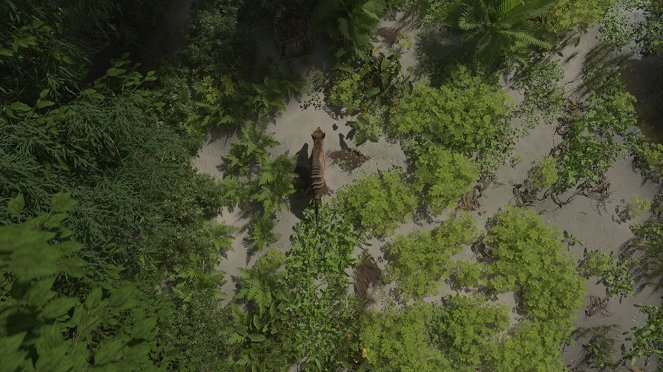 Odhalená ztracená zvířata - Tajemství vakovlka - Z filmu