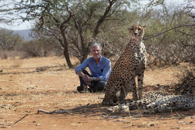 Cheetah Family & Me - Z filmu