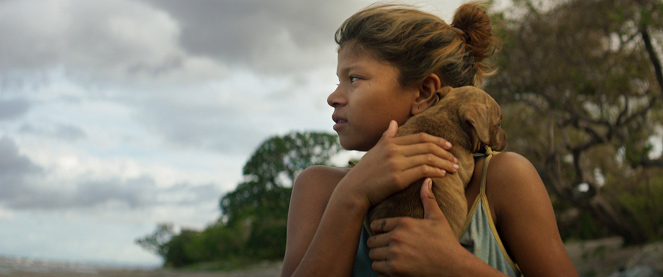 La hija de todas las rabias - Van film