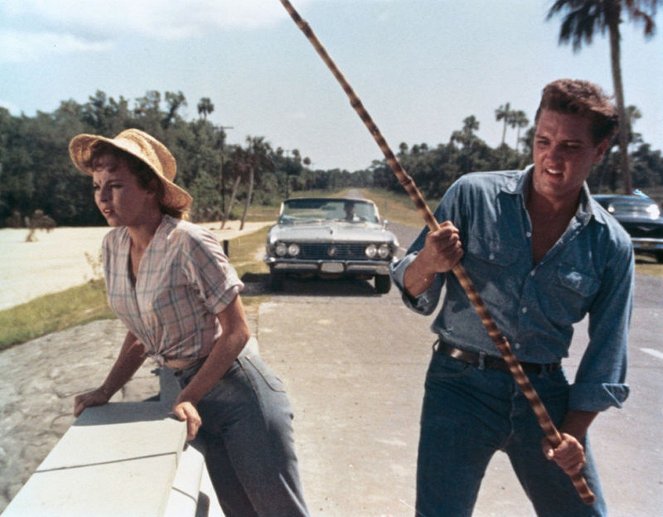 Ein Sommer in Florida - Filmfotos - Elvis Presley