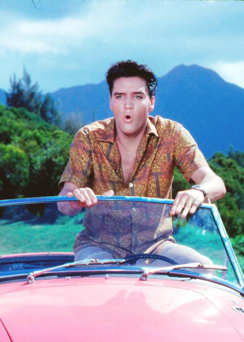Blaues Hawaii - Filmfotos - Elvis Presley