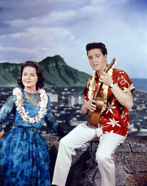 Kék Hawaii - Filmfotók - Elvis Presley