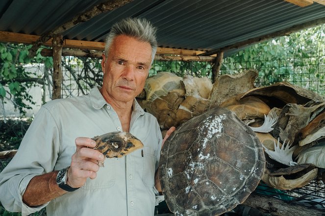 Hannes Jaenicke: Im Einsatz für Meeresschildkröten - Filmfotos