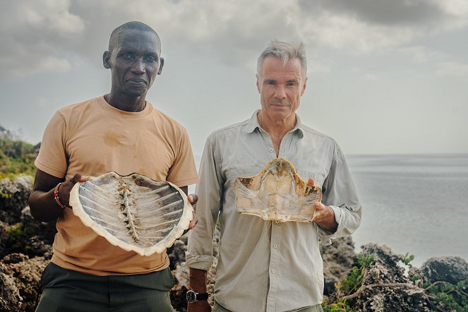 Hannes Jaenicke: Im Einsatz für Meeresschildkröten - Filmfotók