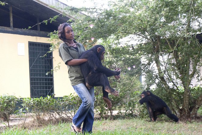 Rescued Chimpanzees of the Congo with Jane Goodall - Filmfotos
