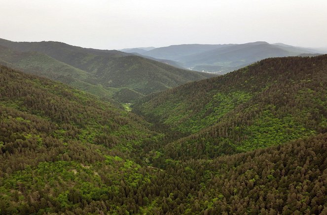 Georgiens Nationalparks - Die grünen Berge von Bordschomi - Z filmu