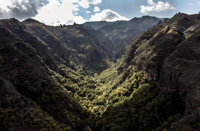 Aus dem Feuer geboren - Die Kanaren – Inseln der Glückseligen - Gran Canaria & Fuerteventura - Von Wäldern, Wasser und Wüsten - Z filmu