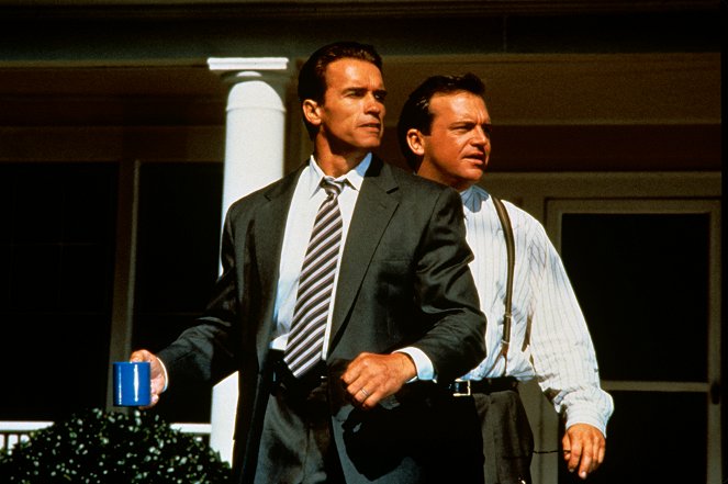 True Lies - Van film