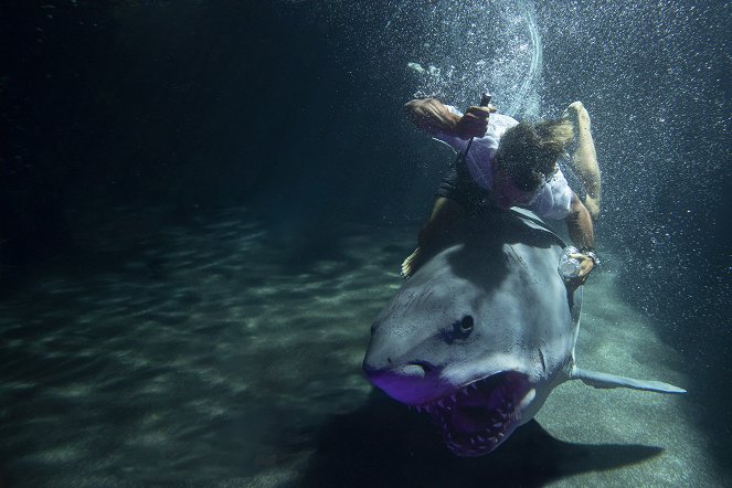 Tiburón blanco - De la película