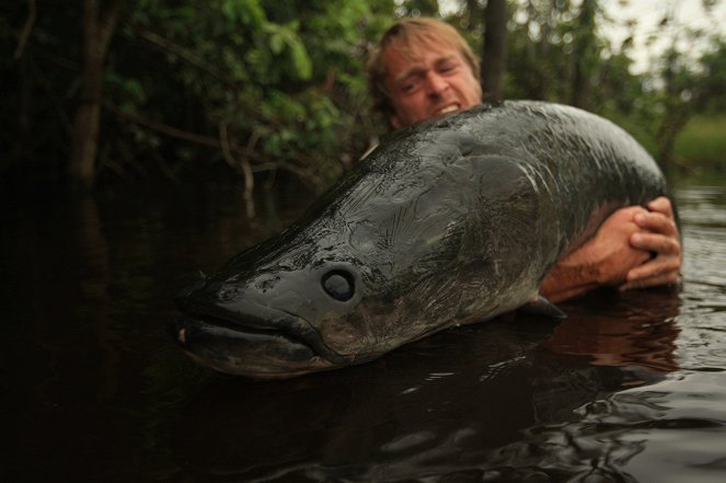 Rybí legendy Jakuba Vágnera - Série 3 - Arapaima gigas - Amazonie - Photos