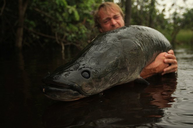 Rybí legendy Jakuba Vágnera - Arapaima gigas - Amazonie - Filmfotók