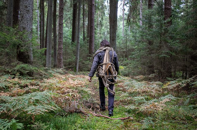 Die Zeidler von Augustów - Piotr und die Waldbienen - Filmfotos