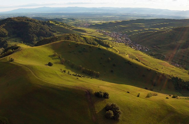 Abenteuer Wildnis: Der Kaiserstuhl - In die Hitze des Oberrheins - Kuvat elokuvasta