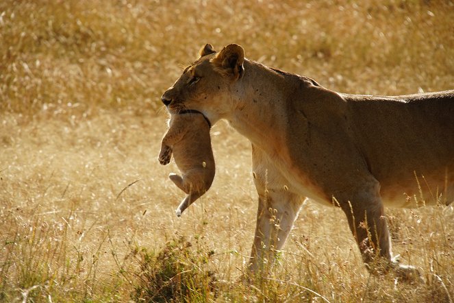 Mother Nature - Photos