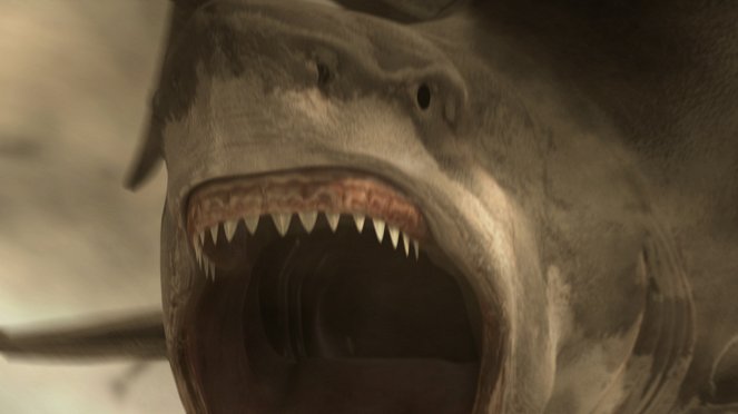 Sharknado 2: The Second One - Van film