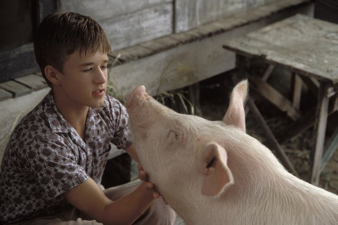 Secondhand Lions - Z filmu