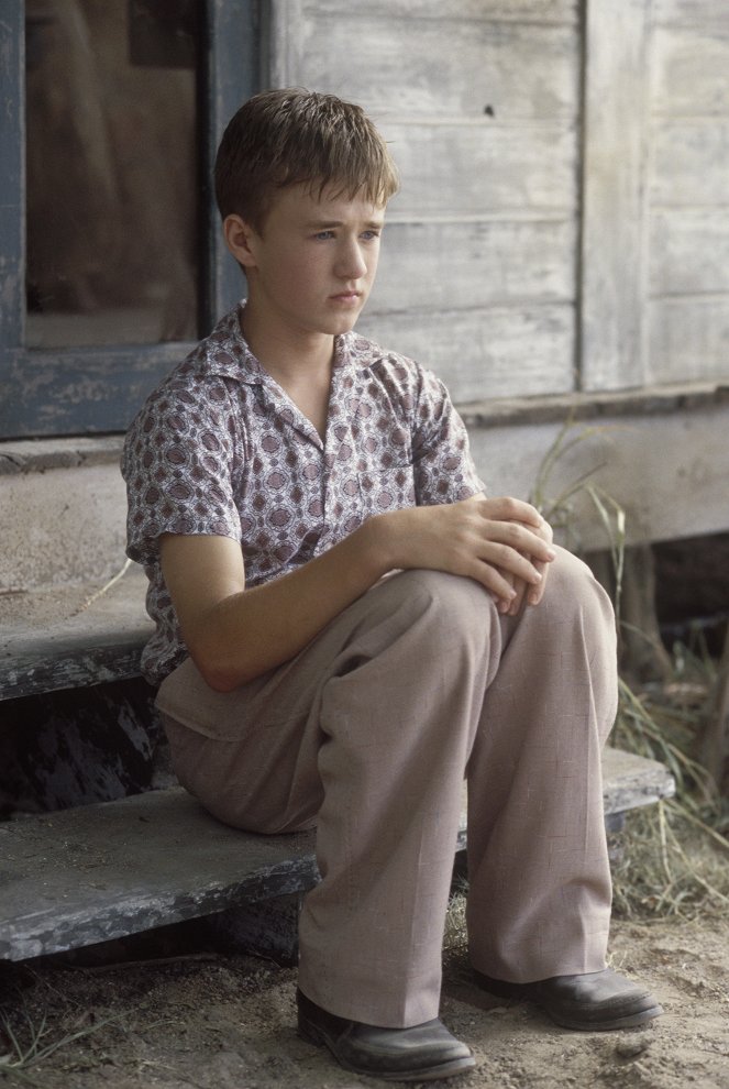 Secondhand Lions - Photos