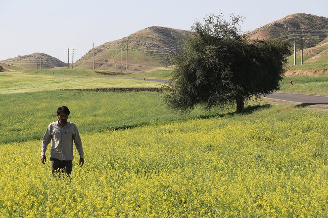 Scent of Wind - Do filme - Hadi Mohaghegh