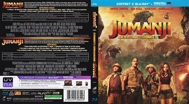 Jumanji: Welcome to the Jungle - Coverit