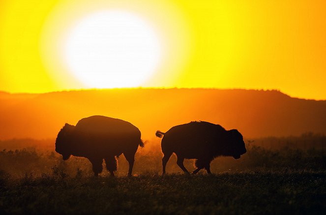 Fremder Stern Texas - Mehr als Cowboys, Öl und Wilder Westen - Photos