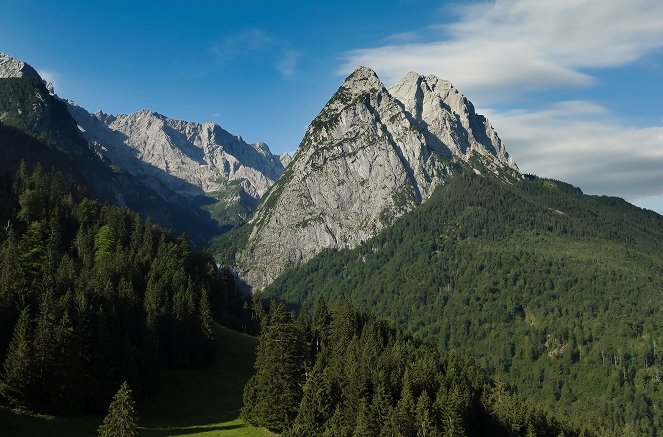 Wilder Frühling - Tierische Liebe zwischen Oberrhein und Zugspitze - Van film