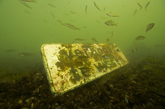 Nederland Onder Water - Van film