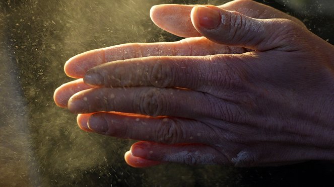Wissen hoch 2 - Unsere Hand – Geniestreich der Evolution - Z filmu